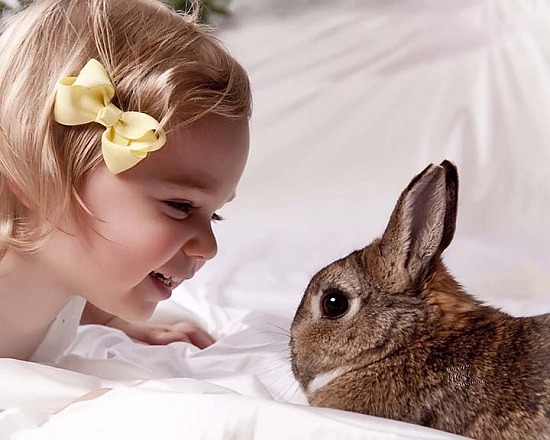 Our Annual Live Bunny Days